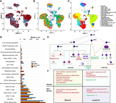 Immune Response in Severe and Non-Severe Coronavirus Disease 2019 (COVID-19) Infection: A Mechanistic Landscape